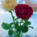 Maria Loja - Facebook