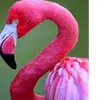 Miss)*(Love - @maria.fun.loving - TikTok