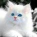 Maria Lopes - Facebook