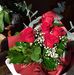 Maria Luckhurst - Facebook
