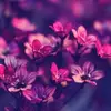marialudlow443 - @marialudlow443 - TikTok