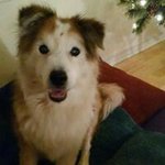Maria R Luken - @maria_l0057 - Instagram