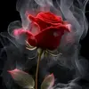 marialulotrucios - @marialulotrucios - TikTok