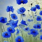 Maria Lykos - Facebook