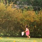 Dr. Maria Lytle   |   Psychotherapist - @light_onmymind - Instagram