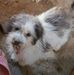 Maria Mac - Facebook