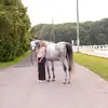 maria - @maria_macc - TikTok