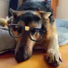 Maria Macaluso606 - @miamac73 - TikTok