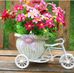 Maria Macaluso - Facebook