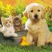 Maria Macaluso - Facebook
