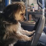 Yvonne Maria Macarthur - @yvonne.macarthur - Instagram