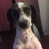 Maria - @mariamacchi1111 - TikTok