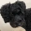 maria mackenzie - @heididog100 - TikTok