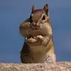 Maria - @mariamackiewicz5 - TikTok