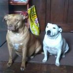 Maria Malcolm - Facebook