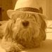 Maria Malzone - Facebook