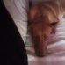 Maria Da Luz Marcelino - Facebook