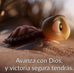 Maria Marez - Facebook