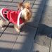 Maria Martucci - Facebook