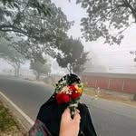 Maria Marzan - @marzan5937 - Instagram