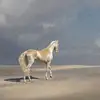 Maria Massimo - @mariamassimo4 - TikTok