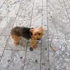Maria Massimo - @maria.massimo6 - TikTok