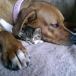 Maria Masters - @masters.maria - Instagram
