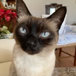 Maria Matera - @mariamatera57 - Instagram