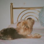 Maria Matera - @maria.matera.9083 - Instagram
