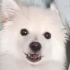 Maria Mateva - @mary_123456789.k - TikTok