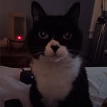 Maria Matheny - @mmath56068 - Instagram