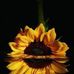 Maria Mayen - Facebook