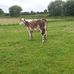 Maria McCann - Facebook