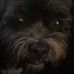 Maria McCann - Facebook