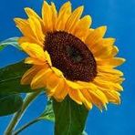 Maria Mcelwee - Facebook