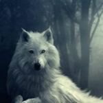 Maria Mcquade - @mcquademaria - Instagram