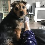 Maria Mcquade - Facebook