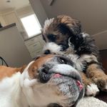 Maria McQueen - @mariamcq38 - Instagram