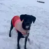 Mari Aumick - @mariaumick - TikTok