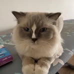 Maria Mol - Facebook