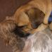 Maria Monter - Facebook