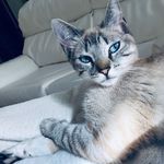 Maria - @maria_moody_cat - Instagram
