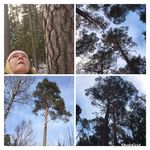 Maria Moody Källberg - @mariamoodykallberg - Instagram