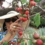 maria morelos - @morelos7287 - Instagram