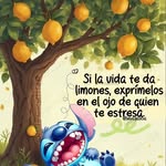 Elsa Maria Morquecho - @elsamariamorquecho - Instagram