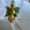 Maria Morquecho - @maria.zuna1 - TikTok
