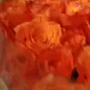 maria munis - @mariamunis4ri - TikTok