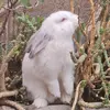 Maria Munsch903 - @mariaines6279 - TikTok