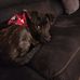 Maria Nash - Facebook