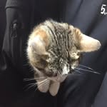 MARIA NASSER - @merya.__.nsr - Instagram
